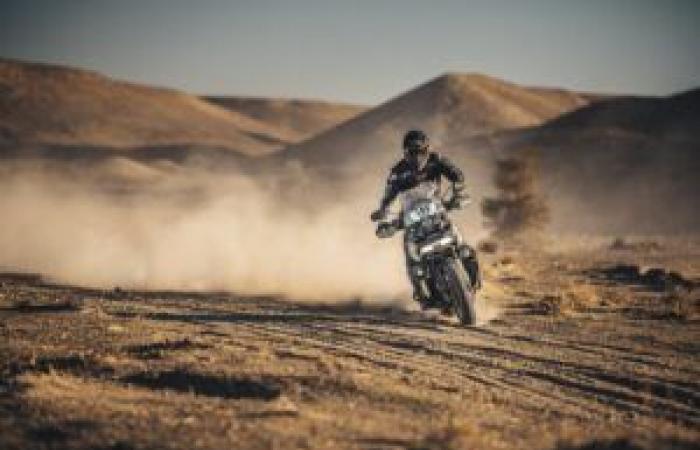 SHAD ready for Dakar and Africa Eco Race 2025 – MotoriNoLimits