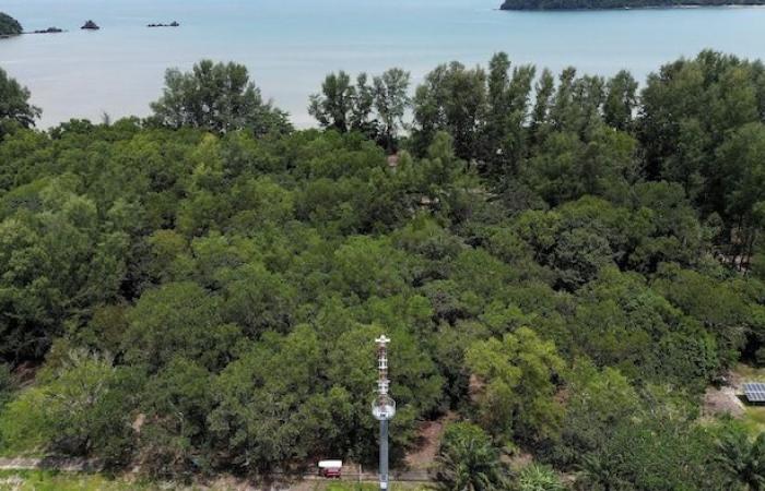 In Thailand, buoys to avoid a tsunami as catastrophic as in 2004