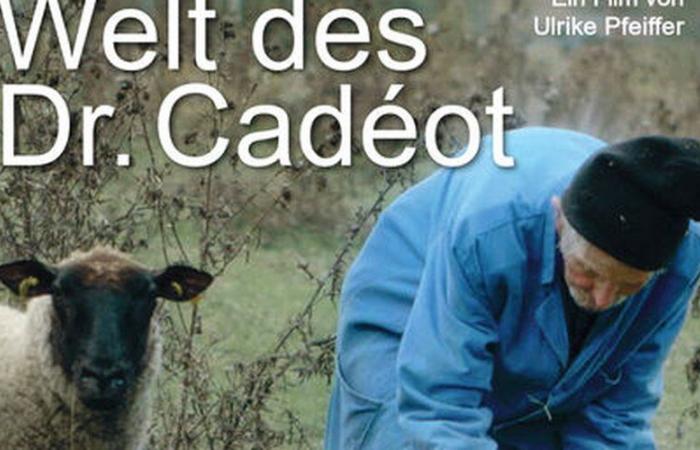 The rurality of Dr Cadéot to discover on the screen