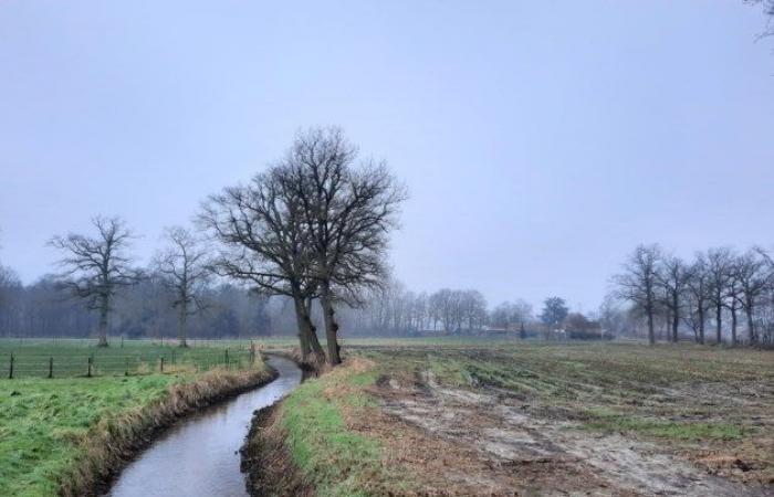 Not white but gray Christmas: code yellow for slippery roads in Wallonia