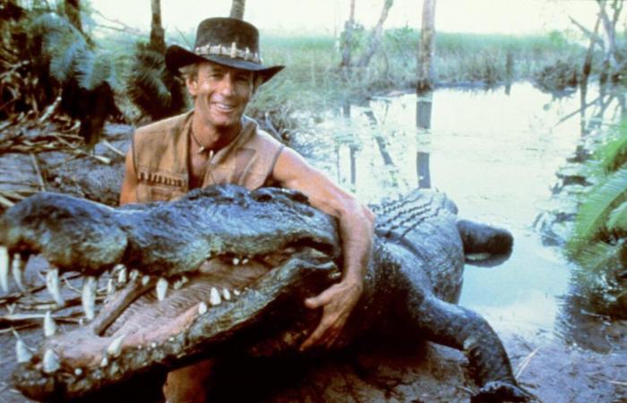 goodbye to Burt, the crocodile star of the film