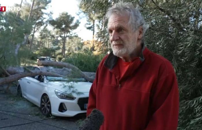 “When I got out, the car was like that”: images of the damage in the Var after the storm