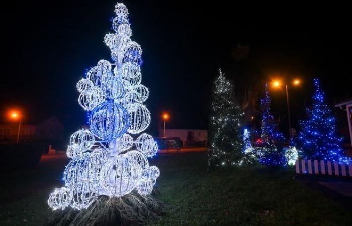 Lights, teddy bears… The festive atmospheres of the municipalities of the Limoges conurbation in pictures