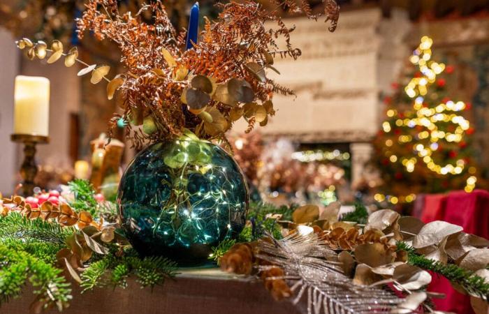 Indre-et-Loire. Christmas stories and workshops in this castle located near Tours