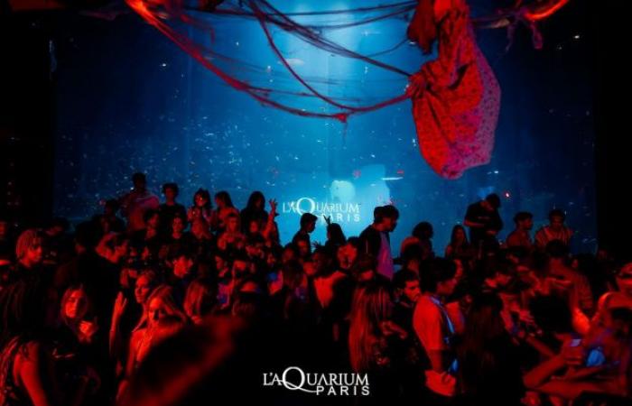 Aquarium Club: a magical New Year's Eve in the heart of Paris