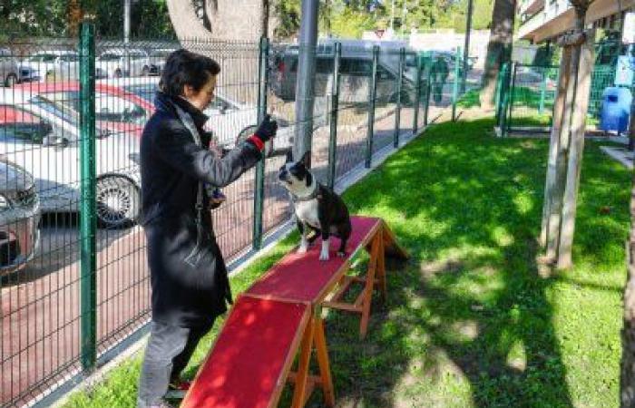 Cannes inaugurates its first dog park in the city center