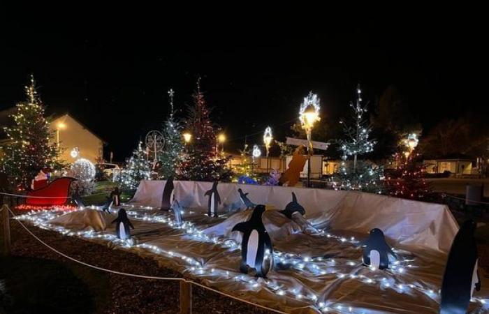 Lights, teddy bears… The festive atmospheres of the municipalities of the Limoges conurbation in pictures