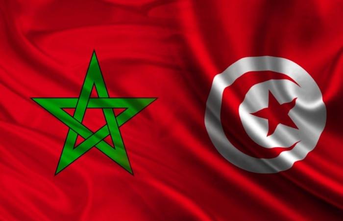 Morocco “prefers to import Brazilian olive oil to the detriment of Tunisia,” deplores a Tunisian expert