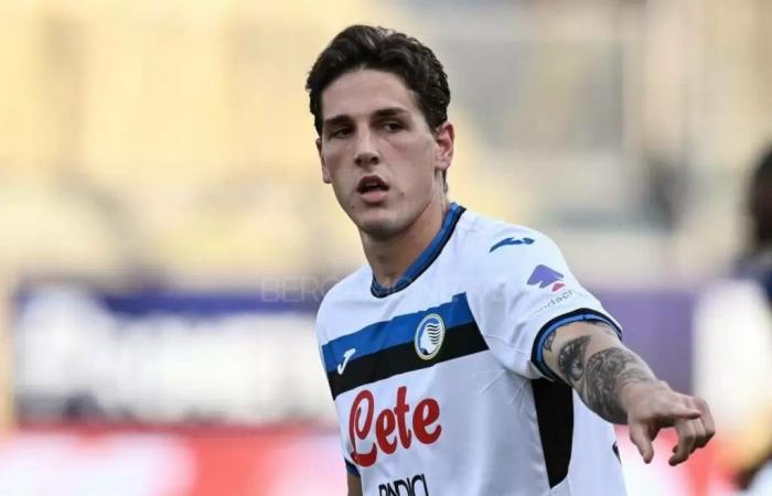 Serie A, the decisions of the Sports Judge: Zaniolo disqualified for one match