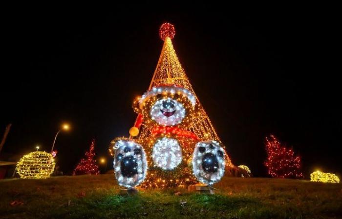 Lights, teddy bears… The festive atmospheres of the municipalities of the Limoges conurbation in pictures