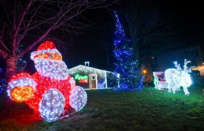 Lights, teddy bears… The festive atmospheres of the municipalities of the Limoges conurbation in pictures