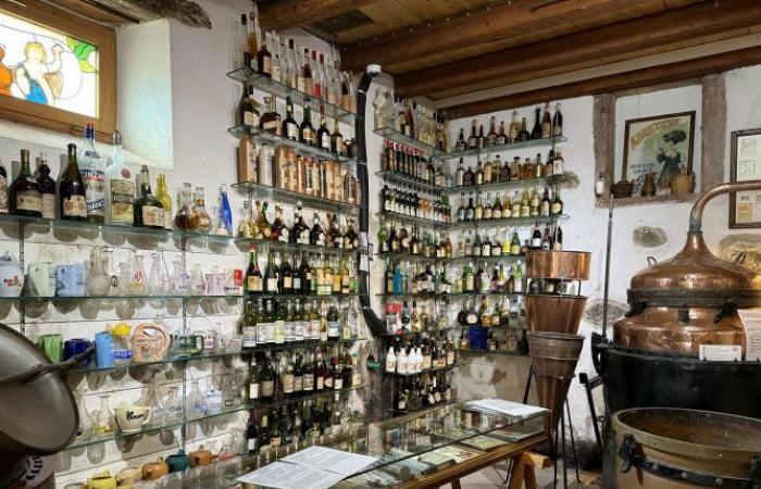 there is a museum dedicated to “eaux-de-vie” 1h15 from Strasbourg