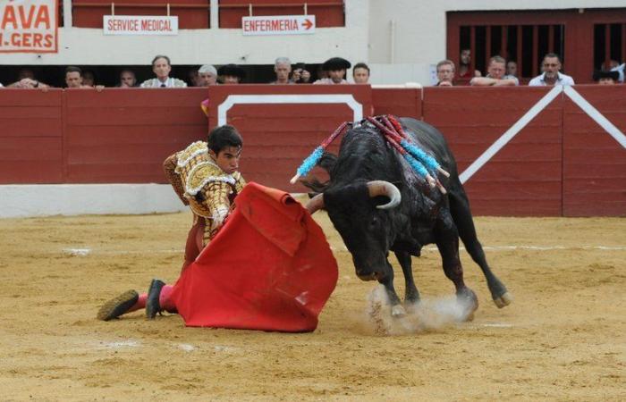 Bullfights in the Tarn? This club brings the bull culture to life in Albi