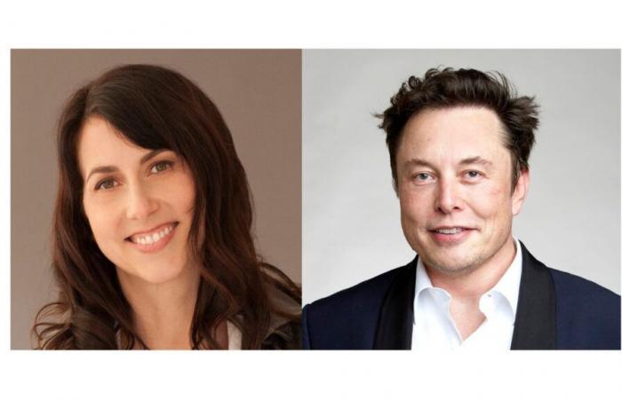 Elon Musk attacks MacKenzie Scott for billion-dollar donations to liberal causes – La Voce di New York