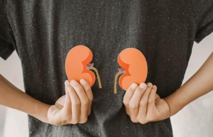 Asthma, diabetes, hypertension, depression… Chronic diseases affect kidney health