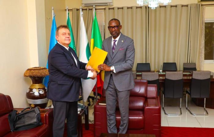 A gold refinery, the fruit of the Russian-Malian partnership | APAnews