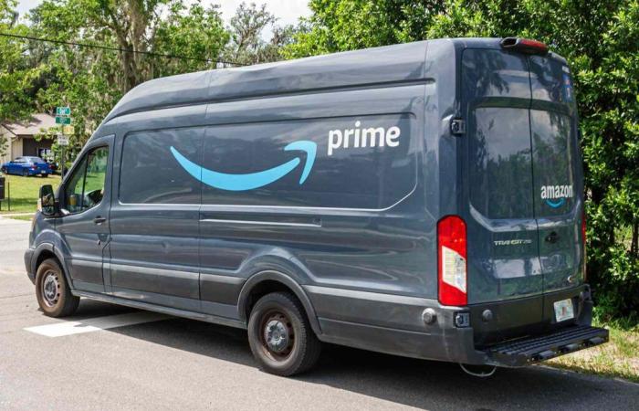 ‘Stressed’ Amazon Driver Leaves 80 Packages in Mass. Woods Days Before Christmas