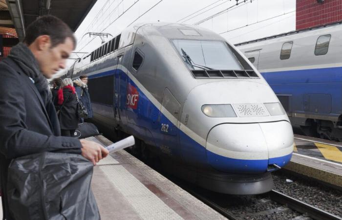 Driver's fall caused delays on the Lyon-Paris TGV line on Christmas Eve