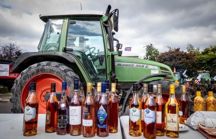 Importation of cognac: China extends its anti-dumping investigation until April