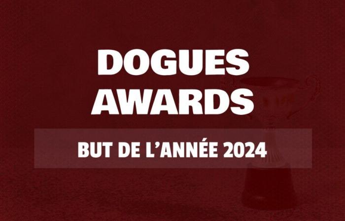 Dogues Awards 2024: Elect the LOSC goal of the year