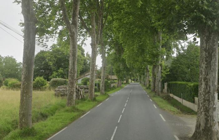 A 26-year-old man dies after his car crashes into a tree on Christmas Eve