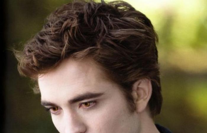 No one has figured out if these 10 images are from Harry Potter or Twilight