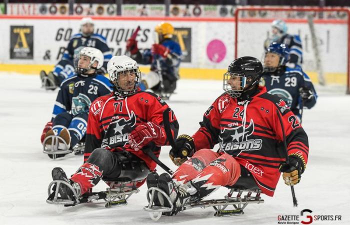 ICE HOCKEY – HCAS: 2024 in the eye of Jean-Baptiste Ripoll