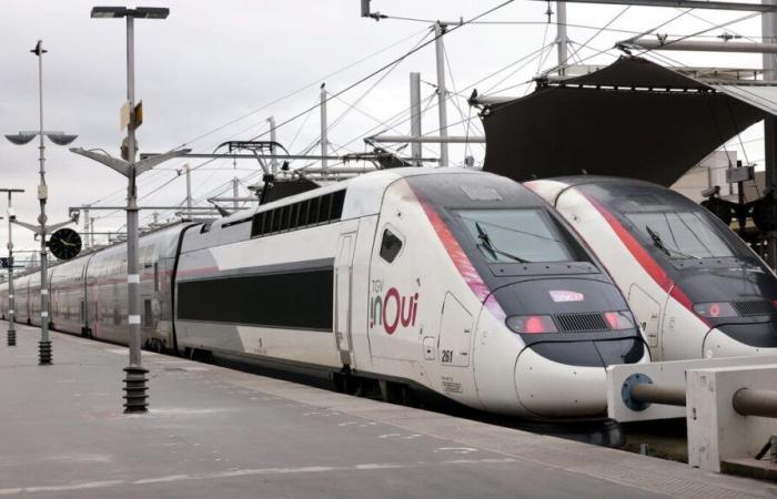 SNCF confirms suicide of train driver, cause of delays on Christmas Eve