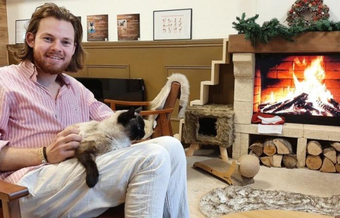 In pictures. Alexandre, 25, opens the first cat bar in Vendée