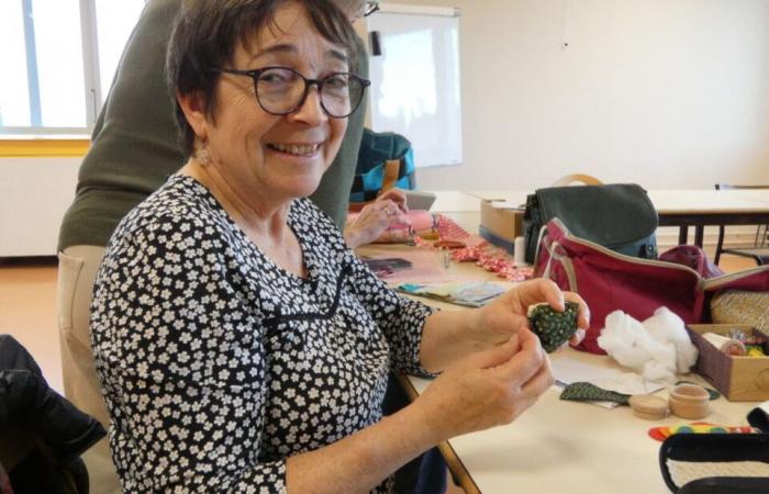 Seamstresses from Vire Normandy make 200 blankets for very premature babies at Caen University Hospital