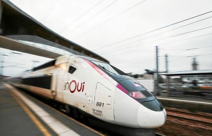 Suicide of a TGV driver: the scenario of a runaway train avoided thanks to SNCF procedures