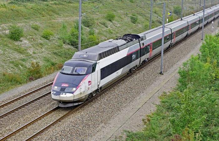 SNCF: a TGV driver allegedly threw himself from a moving train, huge delays on the rail network on Christmas Eve