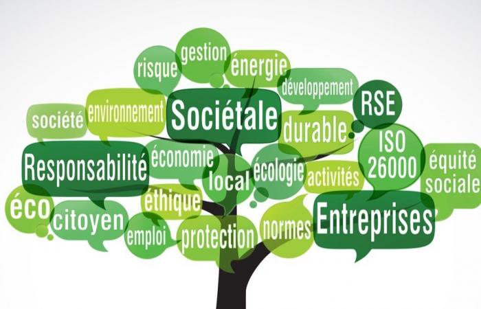 Public companies: ANGSPE draws up a CSR Charter for its scope