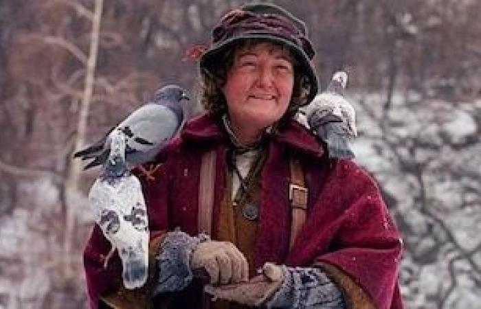 What happened to “The Pigeon Lady” from Home Alone 2?