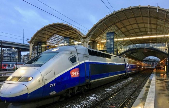 Suicide of a TGV driver on Christmas Eve: how was the train able to stop on its own?