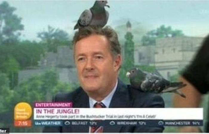 What happened to “The Pigeon Lady” from Home Alone 2?