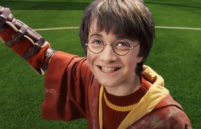 you beat Voldemort if you find out how these 10 Harry Potter characters died