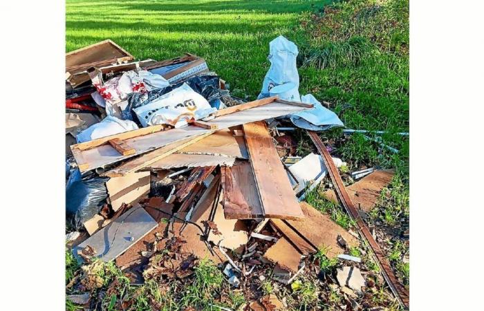 “An early Christmas present”, in Pluguffan, this farmer discovers an illegal dump of waste on his field