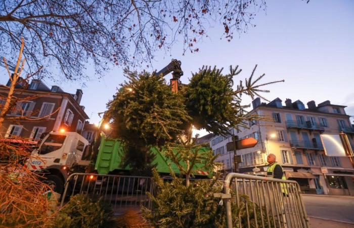 Pau: Christmas trees can be stored in the city center from the day after Christmas