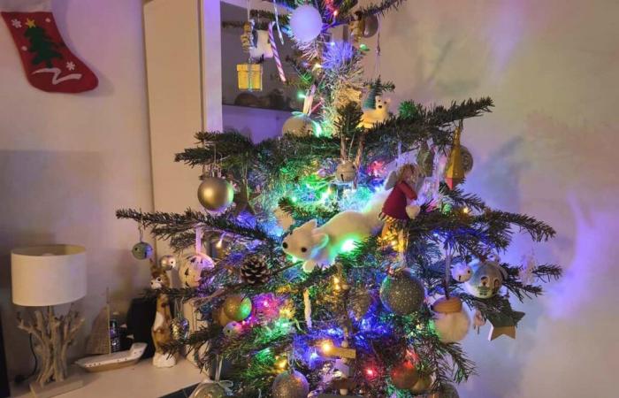 How to recycle your Christmas tree in La Seyne-sur-Mer?