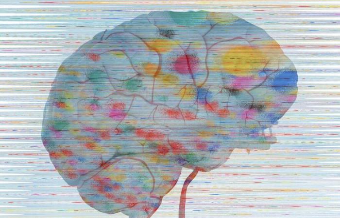 We only use 10% of our brain, our intelligence depends on our gray matter… Really? Five “neuromyths” scrutinized