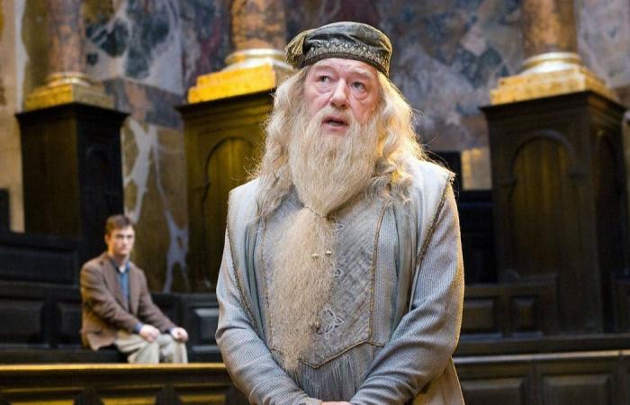 you beat Voldemort if you find out how these 10 Harry Potter characters died