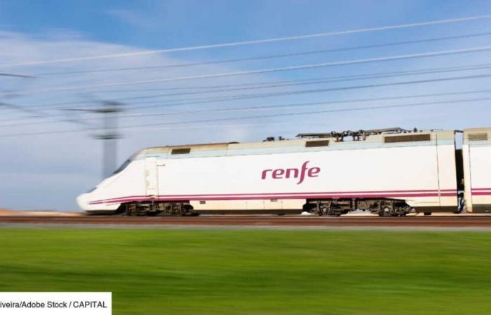 After Lyon and Marseille, Renfe will be able to join this other French city