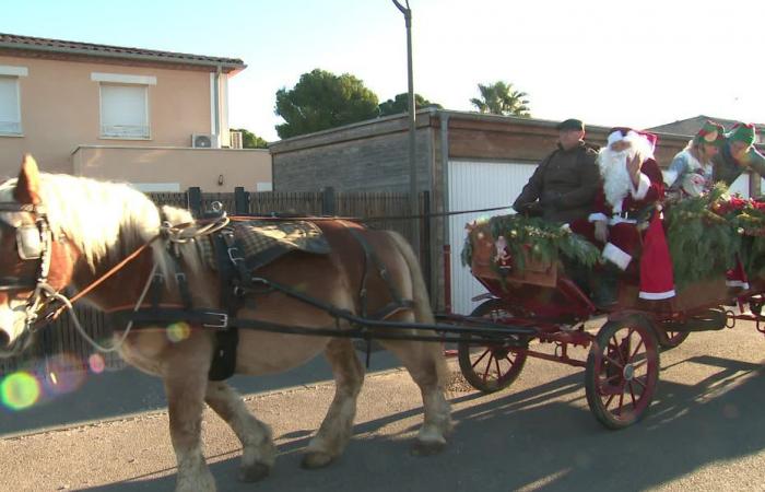 Sleigh in the garage, reindeer at rest, Santa Claus made his rounds in a Camargue carriage