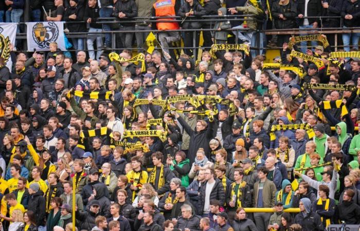 Official: Lierse knows its new coach…and it's a well-known name! – All football