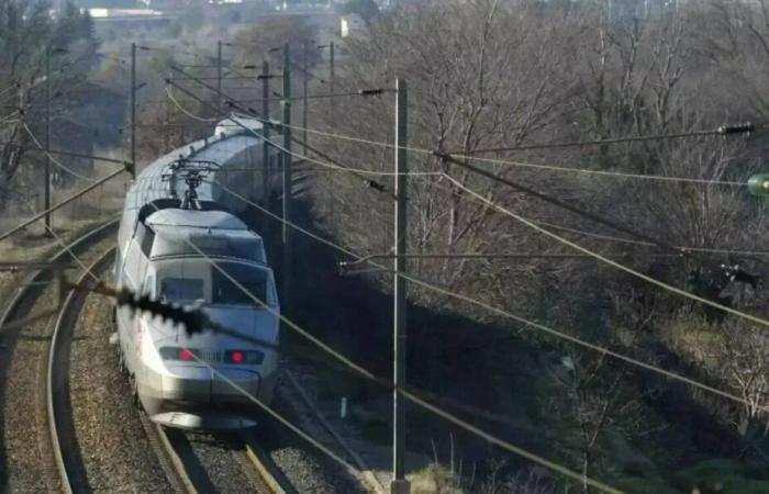 Trains delayed before Christmas Eve: SNCF confirms suicide of TGV driver