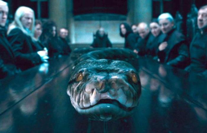 you beat Voldemort if you find out how these 10 Harry Potter characters died