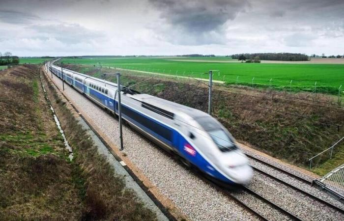 Around ten TGVs delayed after a “personal accident” in Seine-et-Marne