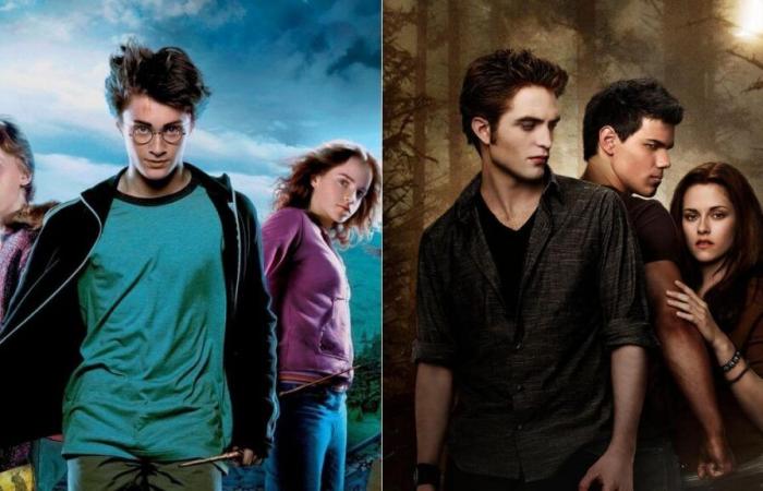 No one has figured out if these 10 images are from Harry Potter or Twilight