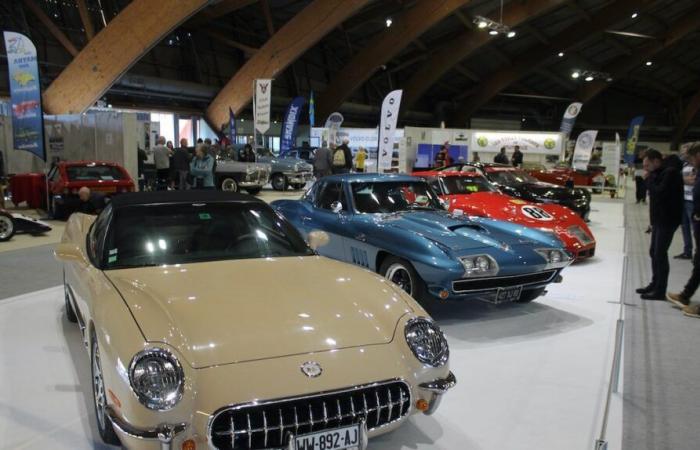 AVIGNON Motor Passion returns from March 21 to 23